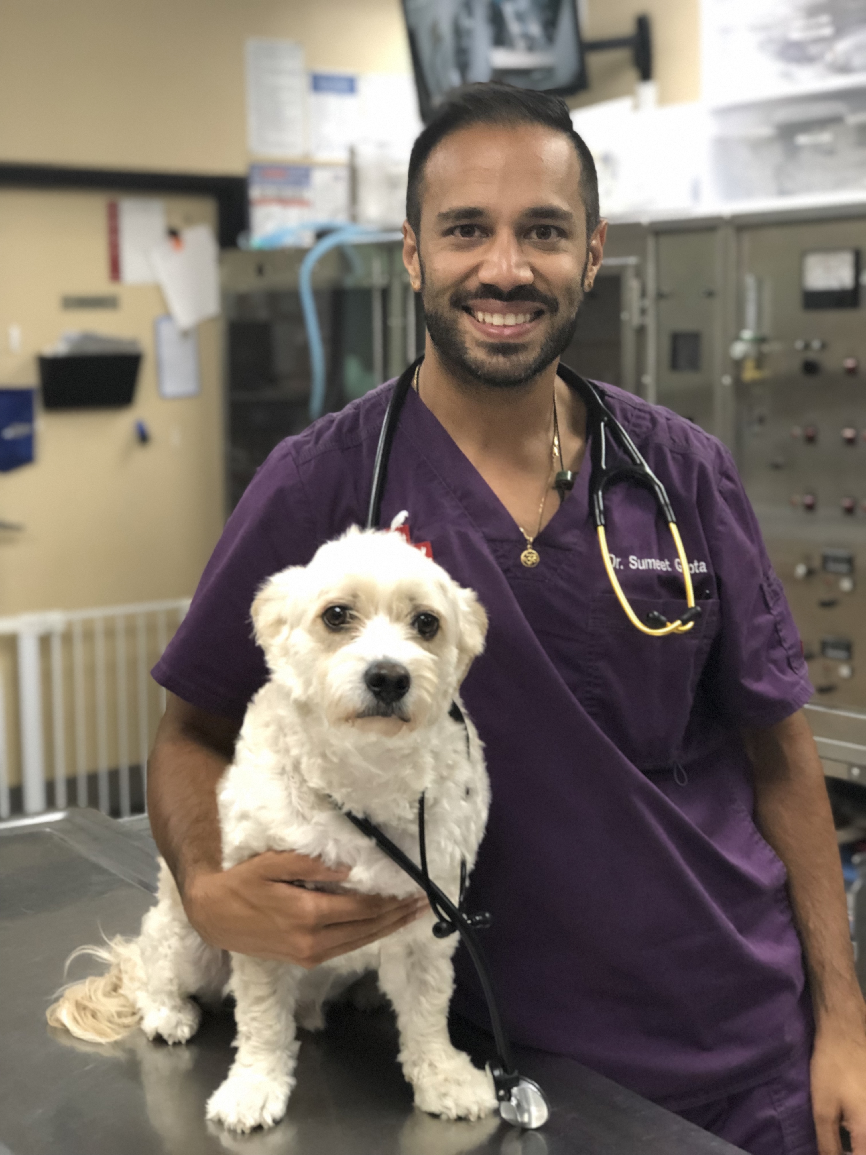 Dr. Sumeet Gupta, DVM